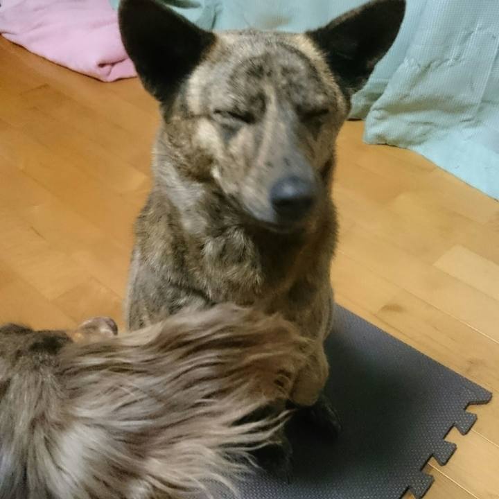 10c29cb5 2b56 4a7b a10e 92ee3e338a6b 1516010734095