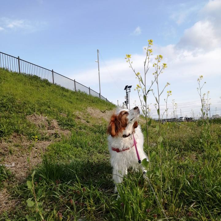 10c2c873 8ed7 4bc9 ae29 84349ec9d4b6 1586476250644