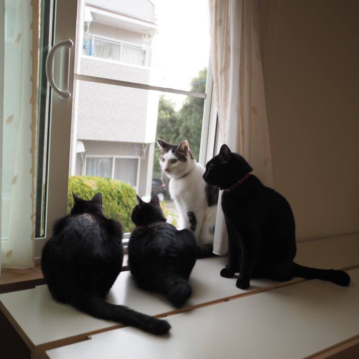 10c2d29f 5bd4 4045 8920 f71b8e3fcd00 1536623567050