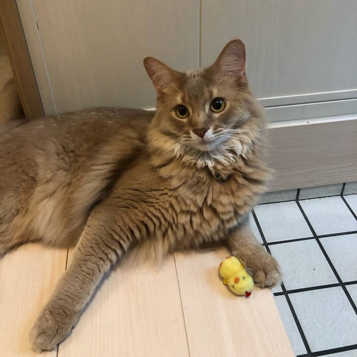 10c2e9b9 b849 4246 8d1a 4a347d354c5c 1595314275662