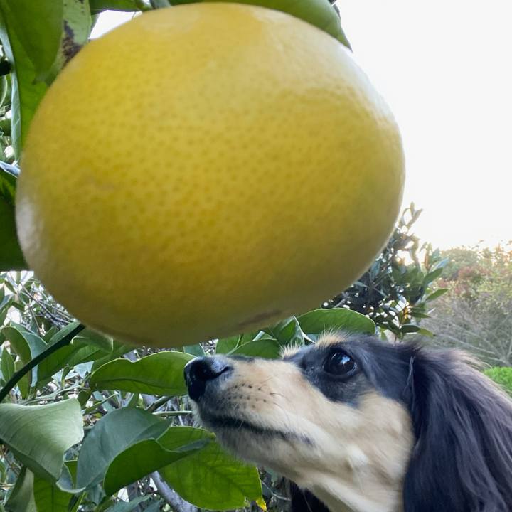 10c3029e 63eb 44fa 8183 0ecd26237362 1700611690443