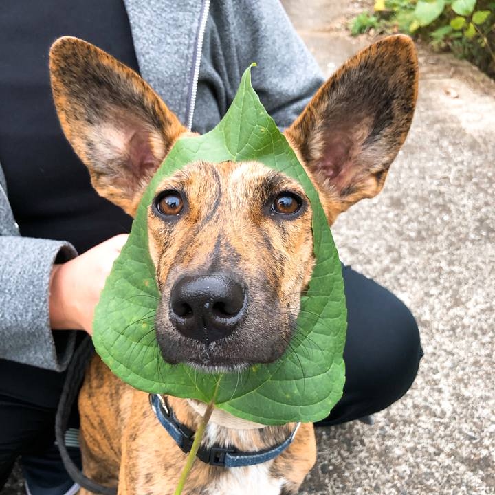 10c30e33 9f7f 4461 8064 7707e1ecab22 1577607522492