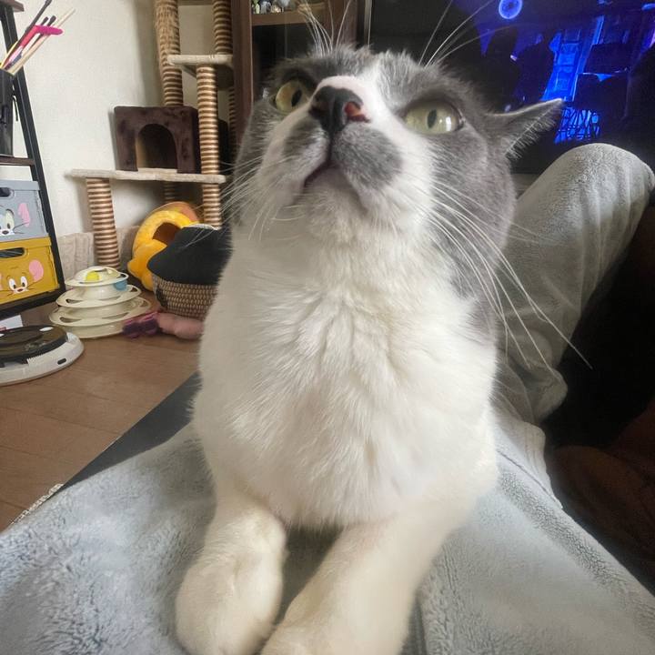 10c35c69 79e1 44df b250 c119779f6f12 1739771285625