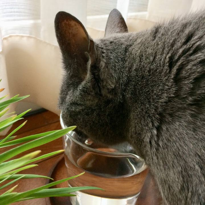 10c36a2d 05b5 41b0 9959 9dafba27ce7c 1529097925007