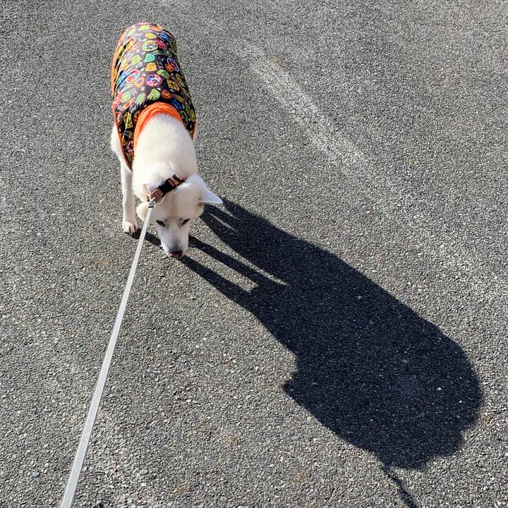 10c375a3 339c 4b8a 8835 9324c924dadc 1581327833428