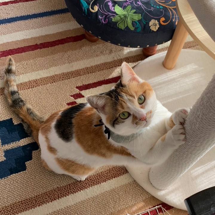 10c38aa2 c632 47e9 9be6 685f73a978fe 1680640717799