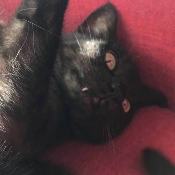 10c39f50 e978 4b0f 940b 8b47a558798b 1769906169478