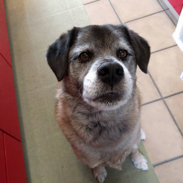 10c3ad70 98e9 4d49 b580 38bdc4b66e36 1715390248727