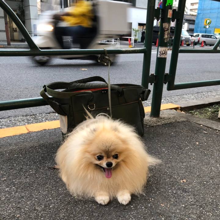 10c3c667 db21 4abe 96e6 01eb8a08bc0c 1539082752560