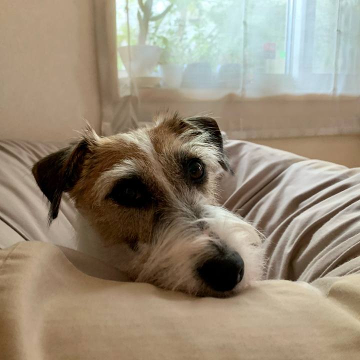 10c3dc0a d063 4e4e 935b a5f41bee82be 1604620350546