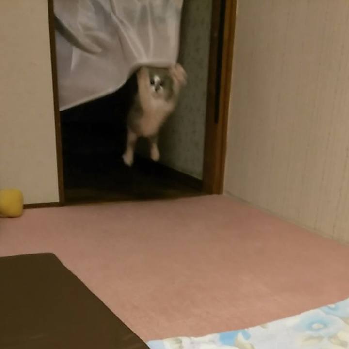 10c3f9b6 f306 4b81 bd4d 558d80c51e7b 1562840203048