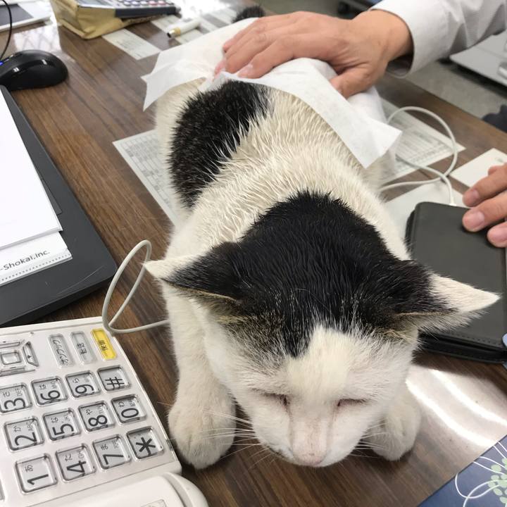 10c40807 03b1 4109 b2bc fd73f095085b 1579677079631