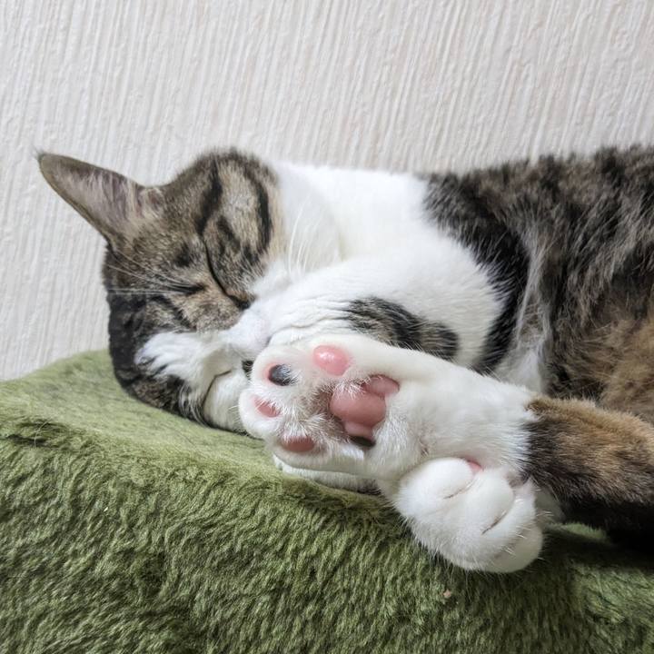 10c40945 70fa 464a a048 3009c2e3c4a9 1718607928612