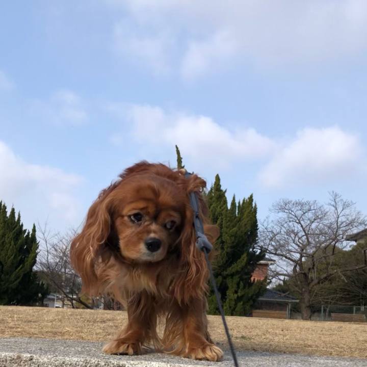 10c42532 9233 4971 838e 5324cf4c0a59 1646526445086