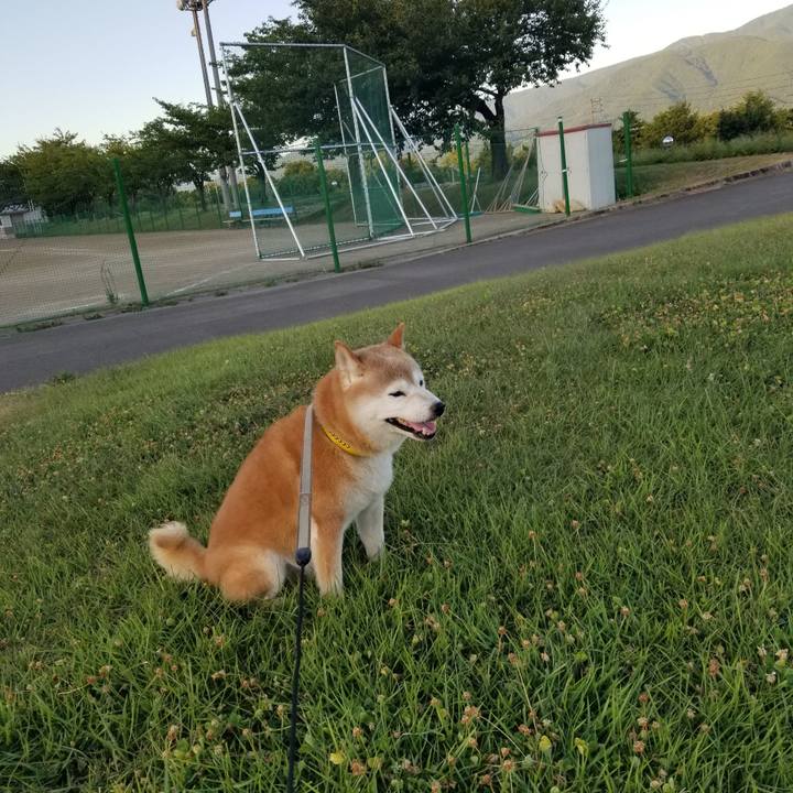 10c42cb8 e759 4af7 9ab3 40c0352c9cc9 1691658531421