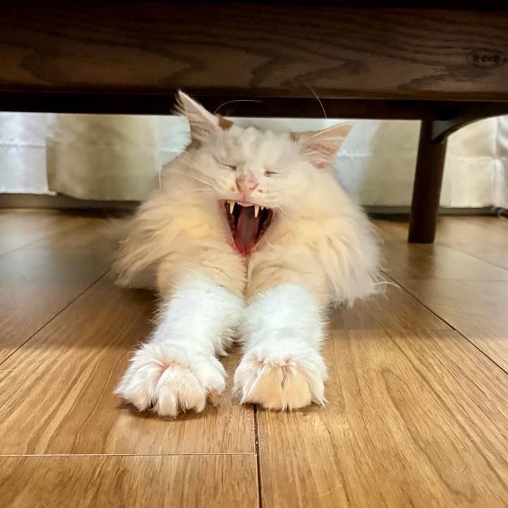 10c45daa 76a7 451d 90cc 85b37c797714 1774237220753