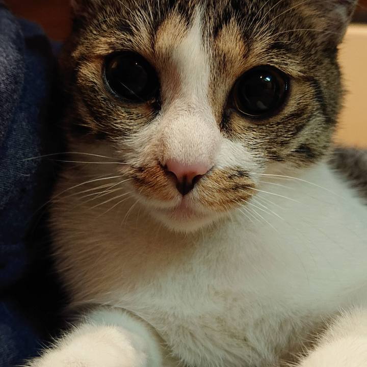 10c47d02 15e7 457f 8cfd 56b110caa251 1560305154242