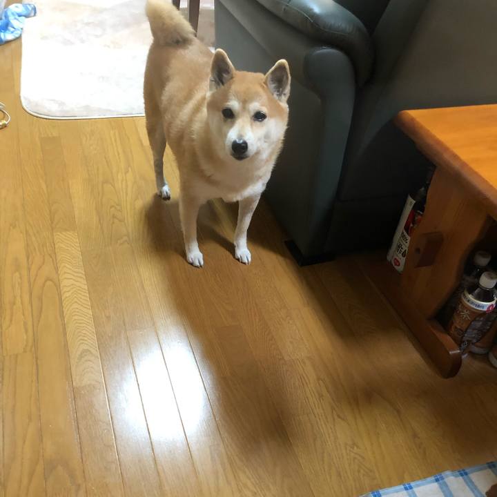 10c480f6 a3de 41f1 b4d0 9140d42f2c4b 1579925819816