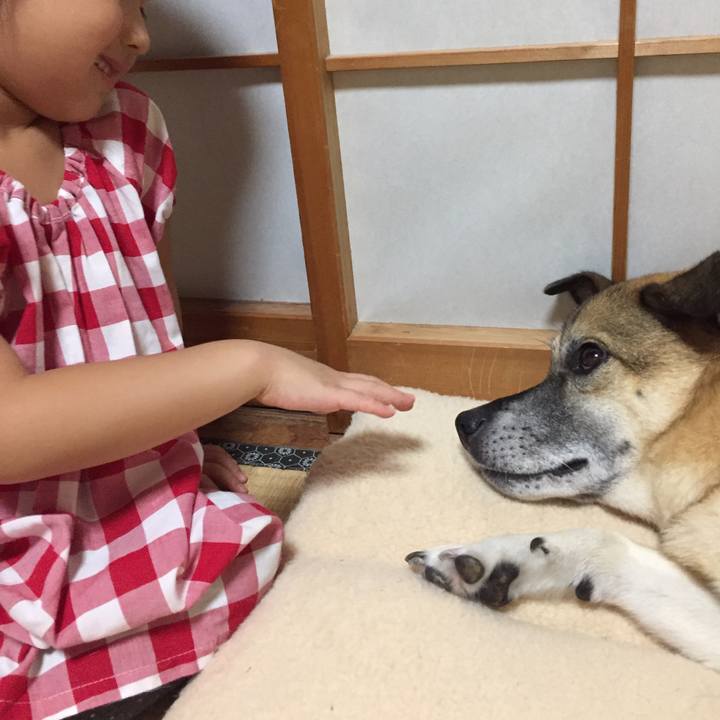 10c4a0e8 2235 435e 87a2 b48d08699321 1507909922271