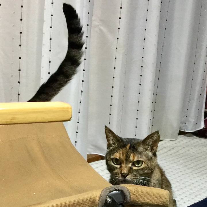 10c4c815 aa86 4740 8c6e 2b8eee818b87 1530966724819