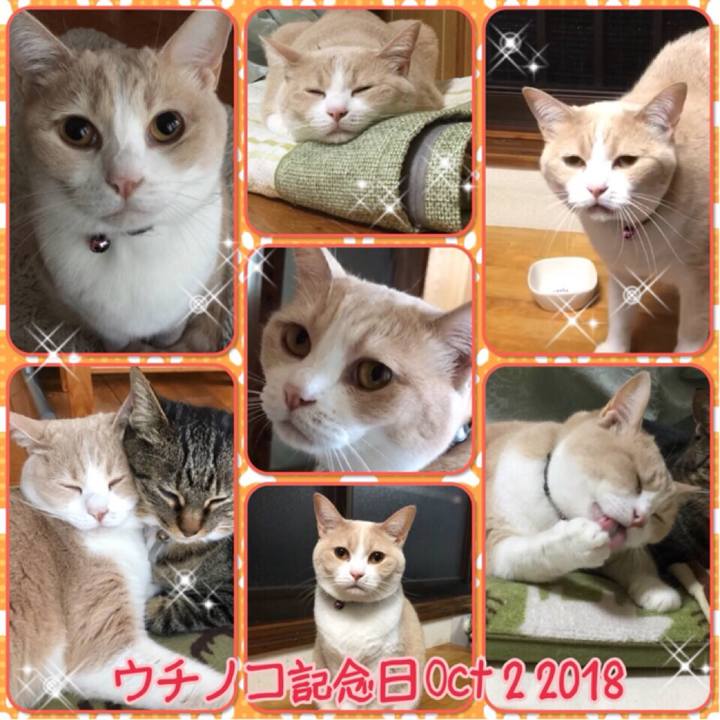 10c4ec09 1c50 43e8 92ca af9f15705493 1538476190163