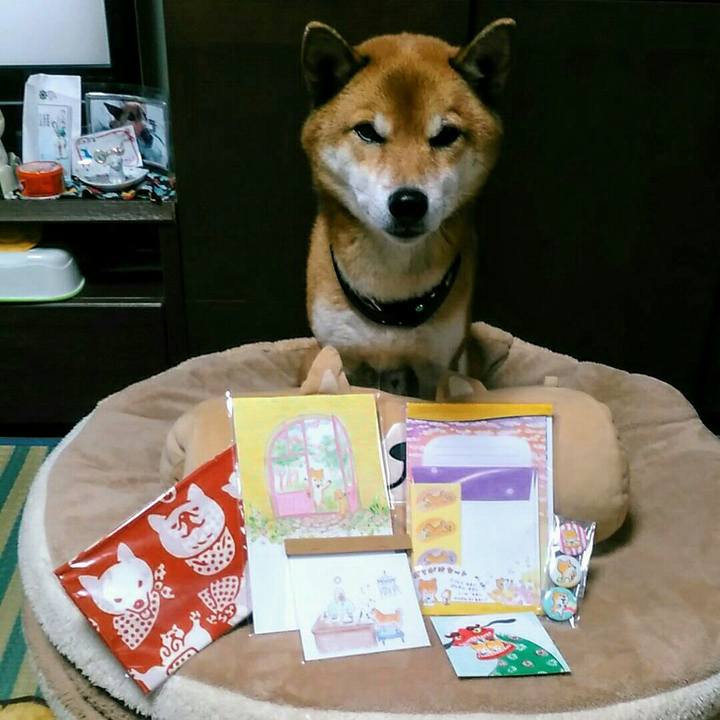 10c51e46 00f7 4125 bb94 259645d030b5 1575098521528