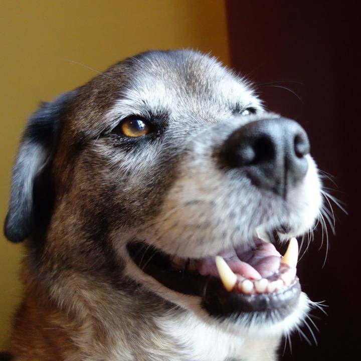 10c5312e afbf 4577 80f4 7347d30f304d 1527211738449