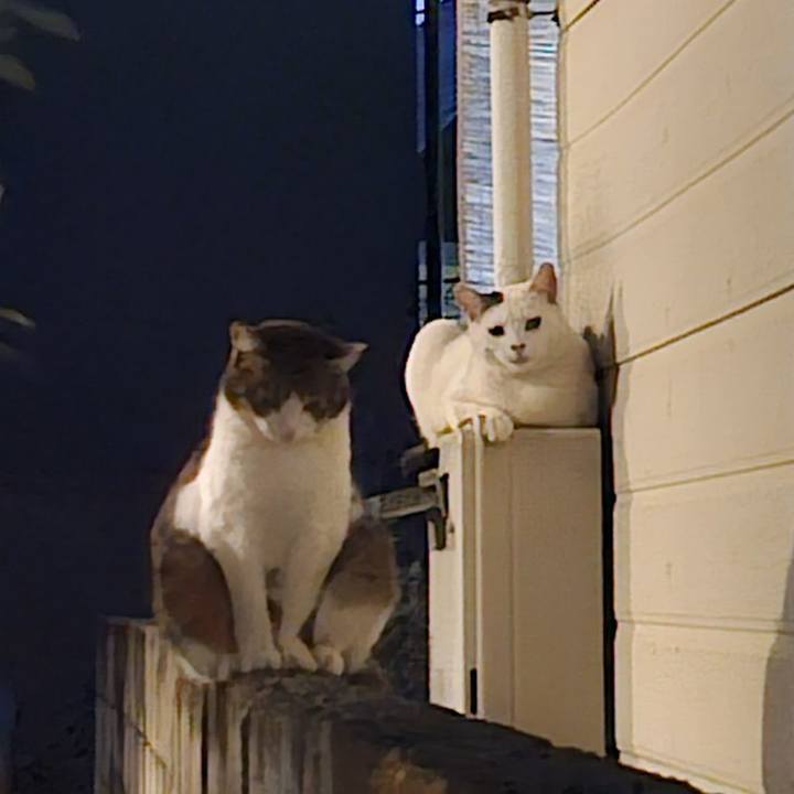 10c5792b d5a6 4714 87bb 3b89760896b2 1744893487260