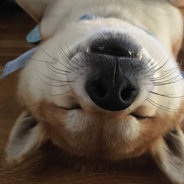 10c57b52 3be6 4210 a18f c7c625f1508b 1564974460212