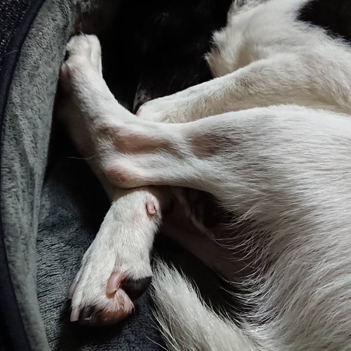 10c58fa0 f916 4793 900c 62fbc26b85d2 1519139234284