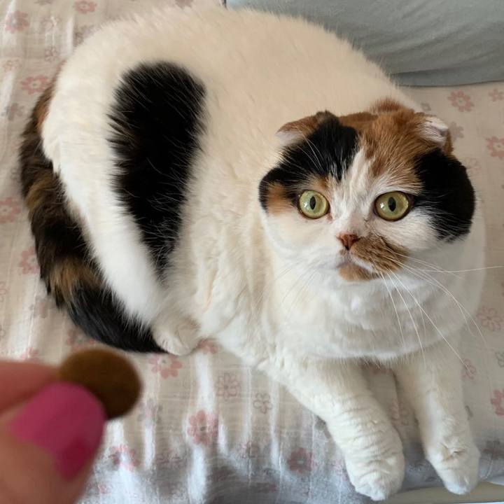 10c5a3c6 71dd 4229 b4a2 73ac93b71d58 1588212503352