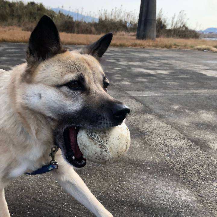 10c5bb82 1e2b 43e5 8fab f78401ae31d6 1610351342147