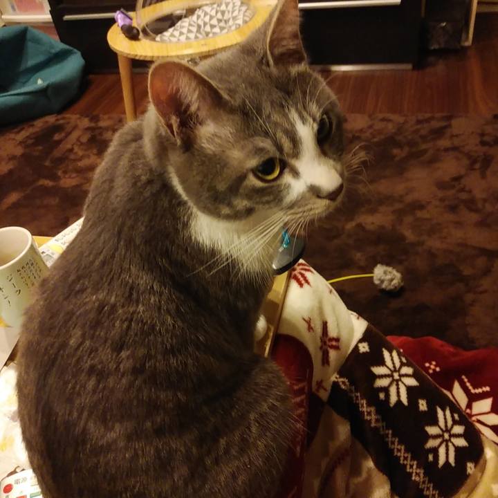 10c5edc1 4058 4f28 8838 226a38742cf4 1583336313307