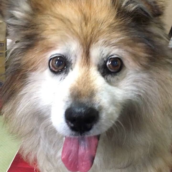 10c5f4f5 2b80 4a46 8638 c378d4c3ff9e 1550362642878