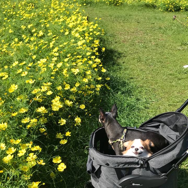 10c626ae 82d4 4560 aff1 24659d7c70a5 1568547483217