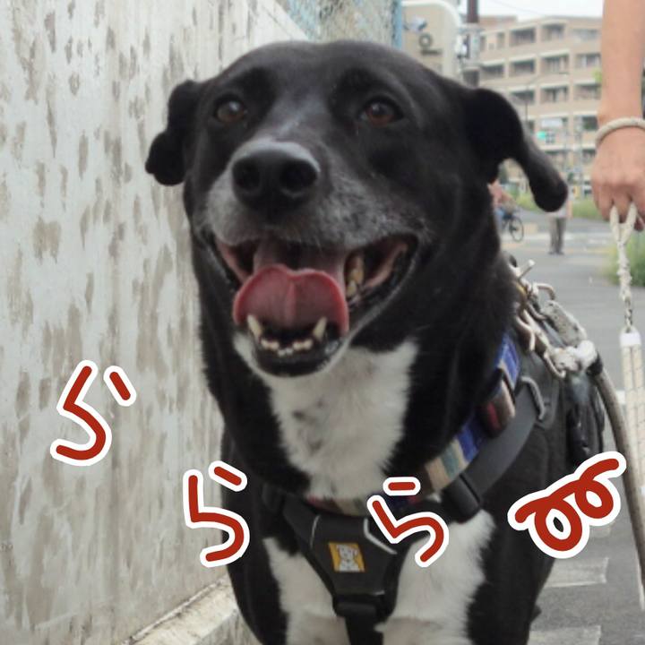 10c66128 436a 4ad2 8a7f bebb526a7369 1661214341077