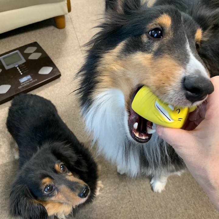 10c66130 10a1 4f52 bf01 ca3645319f59 1580422243276