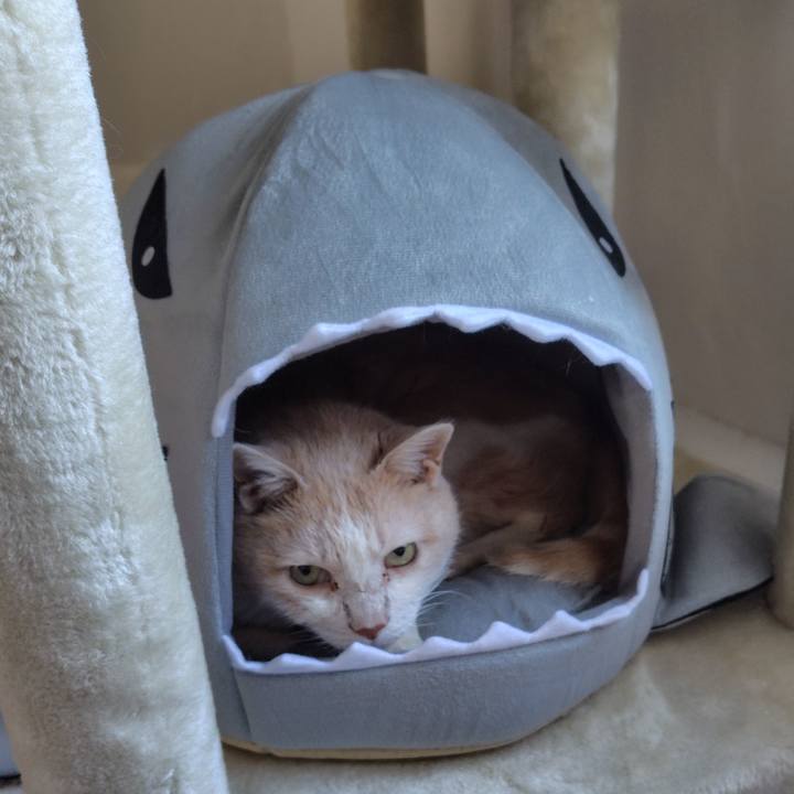 10c67fc2 be07 4d1a 9cd0 25aa349c56b6 1729721779446