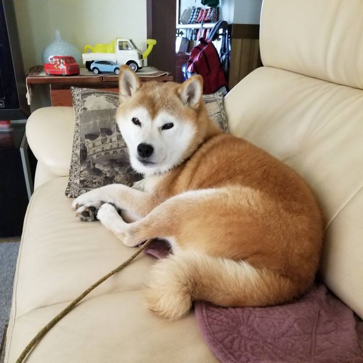 10c6ad81 5475 47c3 944d 00f84efe295b 1662944985695