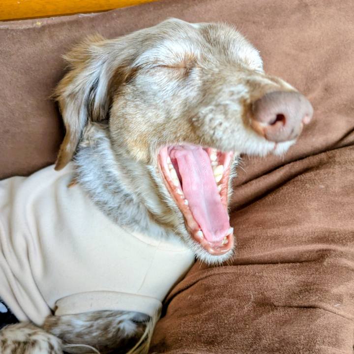 10c6b363 0c36 4c07 a896 9d7fa7454605 1766455898839