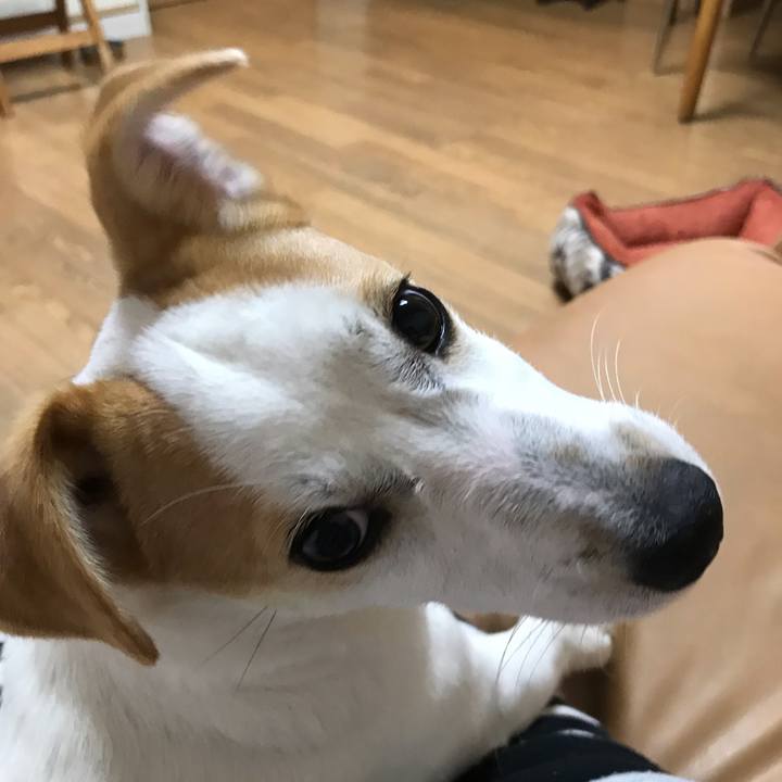 10c6d3be e4c7 4714 99c8 12be0f90643f 1552729936441