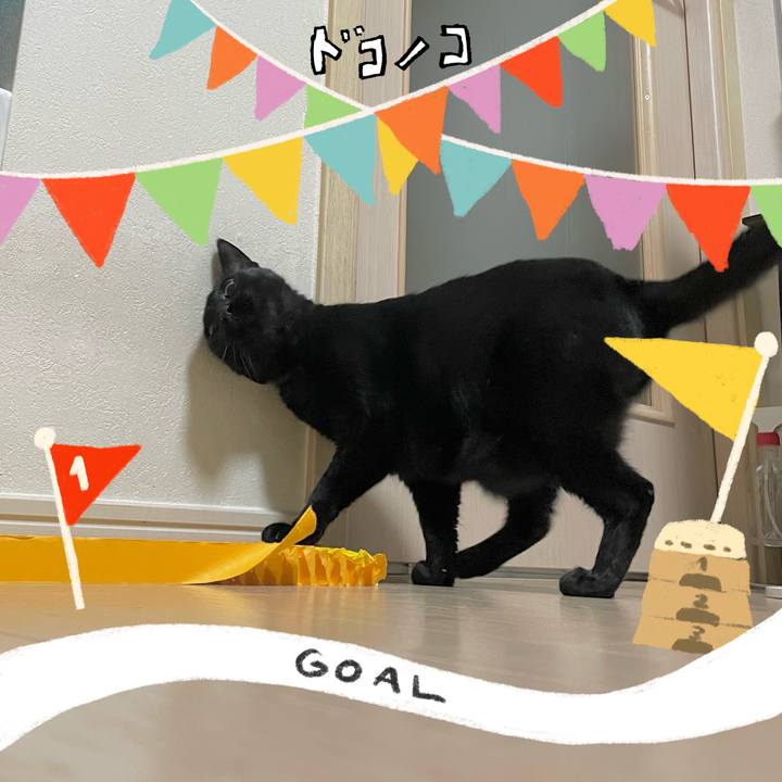 10c71fb5 d432 44e1 a19a f059bd5e370f 1729071715777