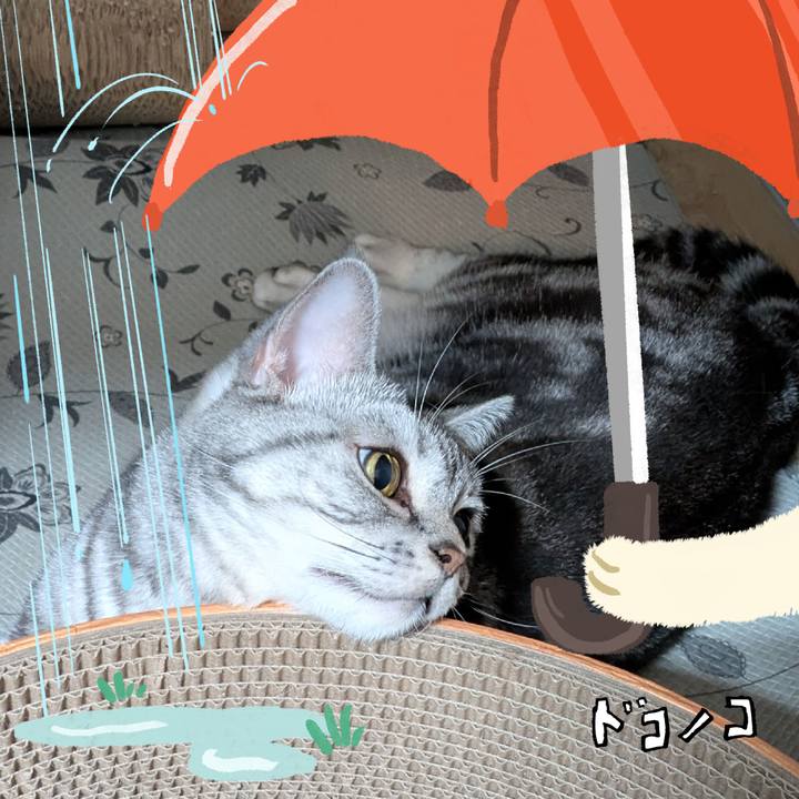 10c721e8 f55f 4082 8fcb 9f427f771b3c 1749120348211