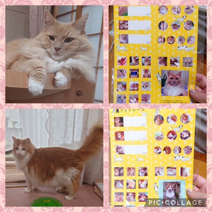 10c73d10 6f7a 449e 80c3 933d8a44c3d7 1653186733455