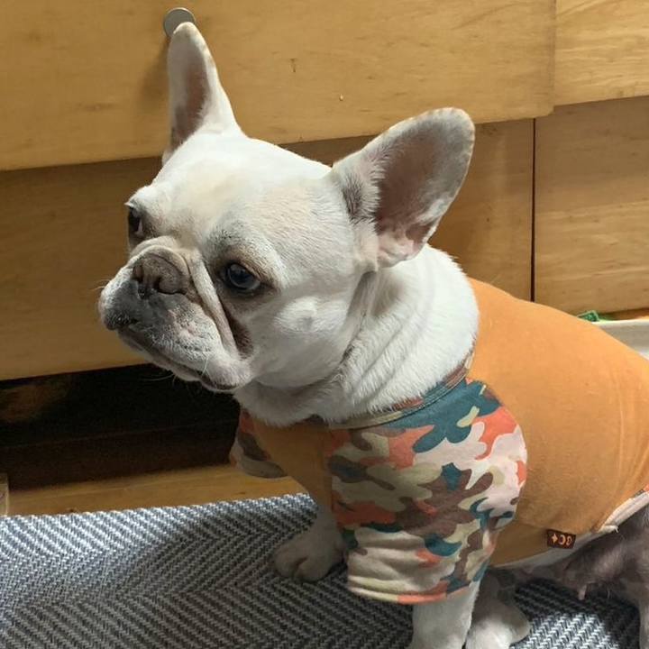 10c7773b 391e 4da6 b1c2 92829e482703 1704971597472