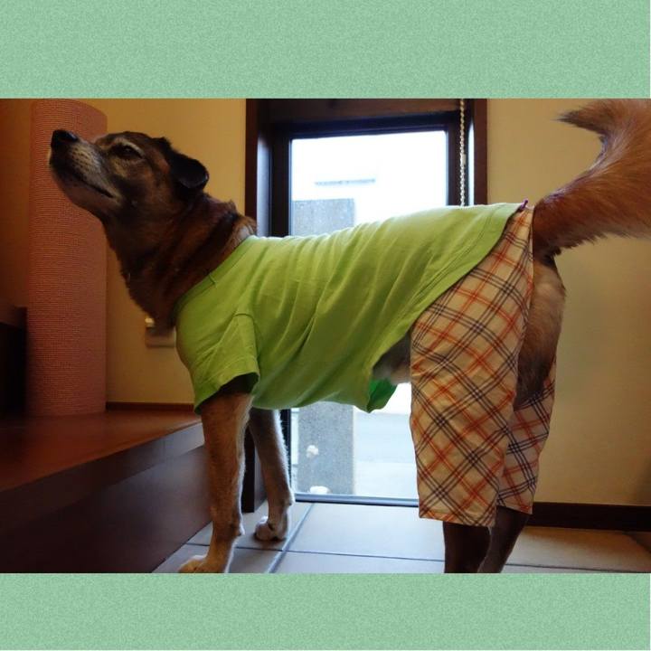 10c79c0e faaa 48fd b5f2 9b015b78f9f5 1626999098568