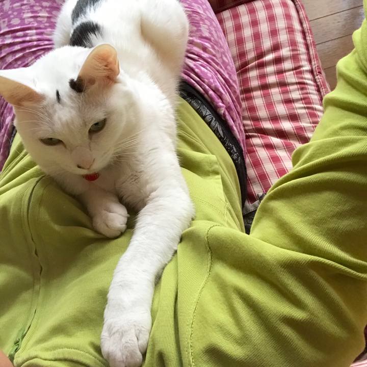 10c79ed2 8495 4443 8f47 5a28438f113a 1520115147987