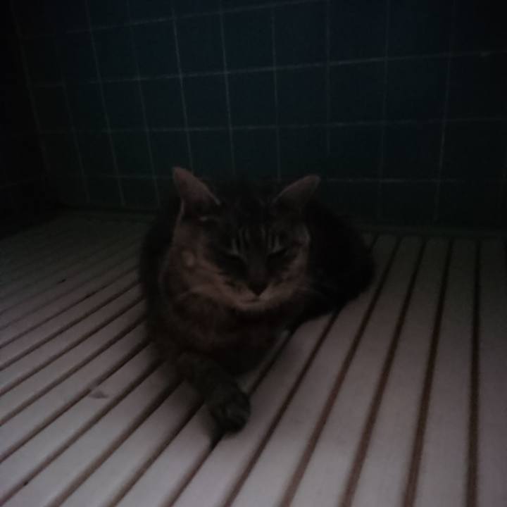 10c7acb1 b96e 4b6e 946d 14770820c0df 1570741742546