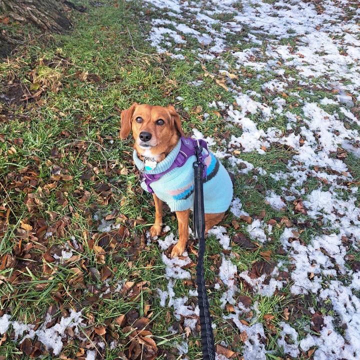 10c7b77b 5257 4429 adcf b80632f30ec9 1766094939628