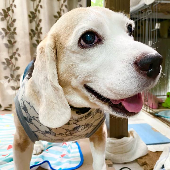 10c7c170 a12e 4001 b736 eb6abaf5df57 1663818878842